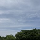 설레는체험세상