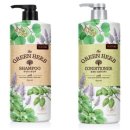 허브그린 이미지