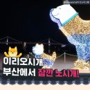 설연휴 알차게 즐겨야지! 부산 핫플레이스 여행(설연휴 부산 알차게 즐기는 법!) 이미지