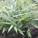 우슬농장 이미지