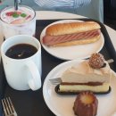 브런치콘서트 청주의봄 이미지