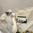 샌드백 | 고양이 모래 샌드백 벤토나이트 추천 만족스러운 후기