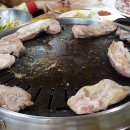 근고기세상