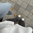 231023 ~ 231029 _ 아비에무아 더현대 / 옥탑 회식 / 심학산도토리국수 / 문지리535 카페 / 양꼬치