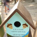 김천 유아숲체험원 이미지