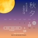 모아폴댄스