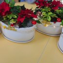 소토초등학교 이미지