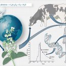 Muscle Attack 이미지