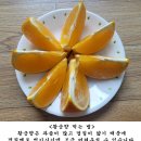 맛있는 서귀포 조생감귤, 황금향 판매합니다. 이미지