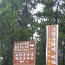 가진활어회센터 이미지