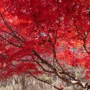 성당못 역사 화장실 | [대구근교여행]합천 가야산 해인사, 진짜 팔만대장경이 있는 곳