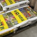 버그버그 상봉점 이미지