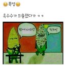 오늘;제주