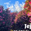 두근두근하우스 in 성산 이미지