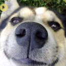 서울동물병원 이미지