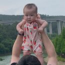 보람웰빙 이미지