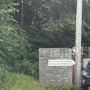 휘게목장 | 휘게포레스트 8월 B8 사이트 후기