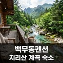 한신펜션 | "계곡까지 딱 2분?" 백무동펜션 평점 4.83점 찍은 의외의 장소