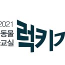럭키가이