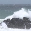 강정동-36 이미지