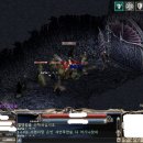 해금장