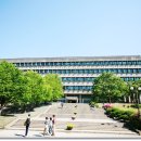 서울대학교 Daum카페