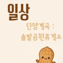 솔밭공원휴게소