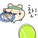 노원실내테니스레슨