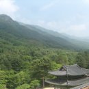 스테이 732 이미지