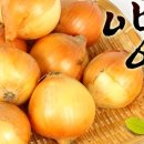 둥근집