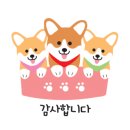 씨유덴탈 이미지