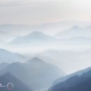 바라보다커피 이미지