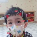 태협 이미지