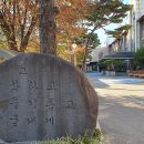 성룡초등학교 이미지