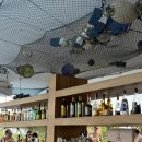 무적수산 | [신혼여행 ③] 스칼렛아르떼 3박 4일 | 무적팔찌를 잃어버린다면..? / (물룩스파, 스칼렛파크, 스플로르...