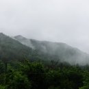 무릉도원 이미지