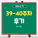 애드송스튜디오 | 뷰트랩 비즈니스 PT 39-40주차 - 피티 끝!!!!