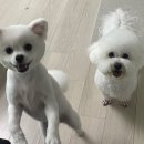 홍등원 이미지