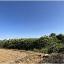 세지면사무소 이미지