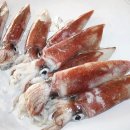 고씨네수산