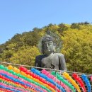 세븐일레븐 속초장사점 | 막둥이 면회 기념 강원특별자치도 투어 인제 속초 황태명품관 설악산 신흥사 월학펜션