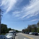 UR(오산시)-[오산천로]-하-7 | 놀거리 많은 깨끗한 캠핑장!! 경기도 오산 맑음터공원 캠핑장 매화존19번