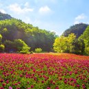 "이렇게 아름다운 곳이 많은데 왜 안 찾을까" 덜 알려졌지만 매력적인 국내 여행지 이미지