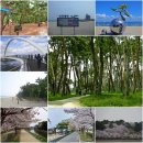 [참가자 저조로 진행을 취소합니다]4월9일(토) 강릉바우길 5구간 바다호수길(경포대 벚꽃) 이미지