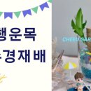 상률로 12번길 이미지