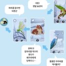 아쿠아레나 이미지