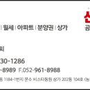 신바람공인중개사사무소 이미지
