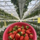 영원농장 이미지