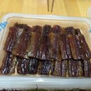 해초과메기 Daum카페