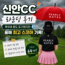 신안CC 라운딩 후기｜폭우에 중도 포기했지만 올해 최고 스코어 기록!